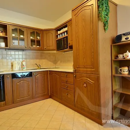 Alex Apartman Apartment *
