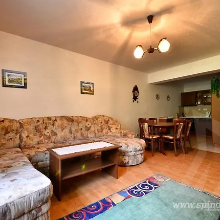 Alex Apartman *
